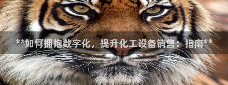门徒平台登录步骤图