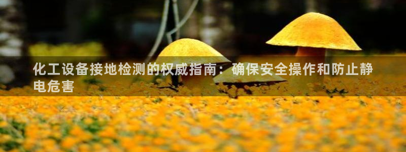 门徒平台马 411O31 门徒