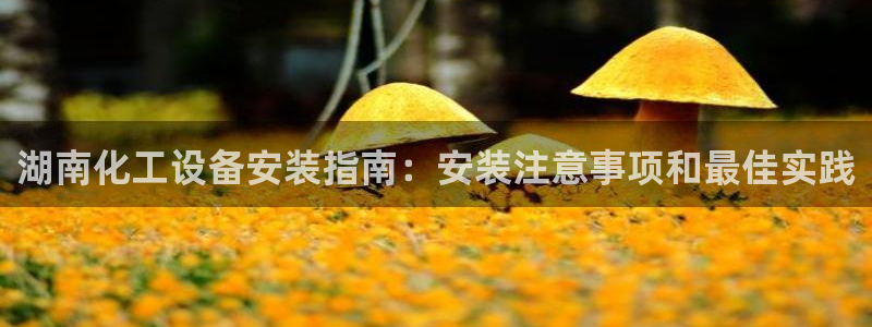 门徒平台商 5O6917 平台