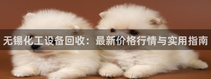 门徒平台地址