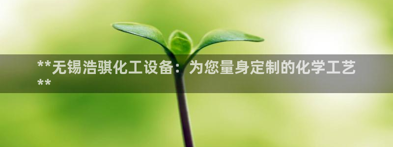门徒娱乐平台登录不了