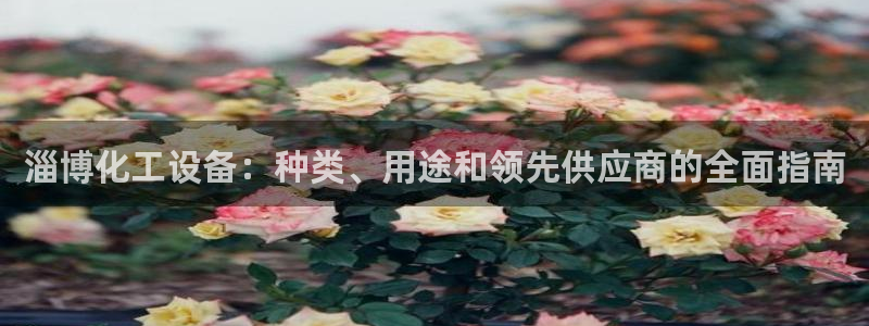 门徒娱乐如何注册登陆