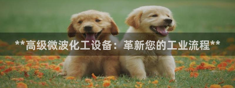 门徒平台开户流程怎么写