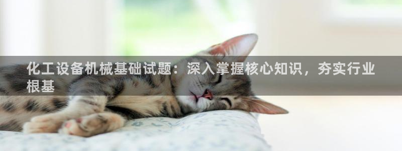 门徒平台注册登陆不上怎么回事