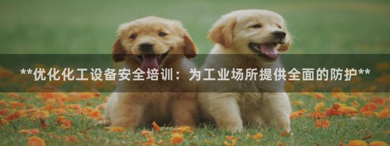 门徒娱乐平台代理合法吗