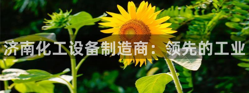 门徒平台会员注册流程