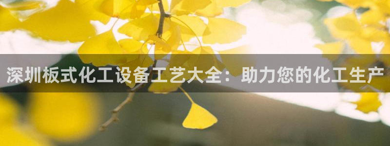 门徒平台定制 411O31 门徒