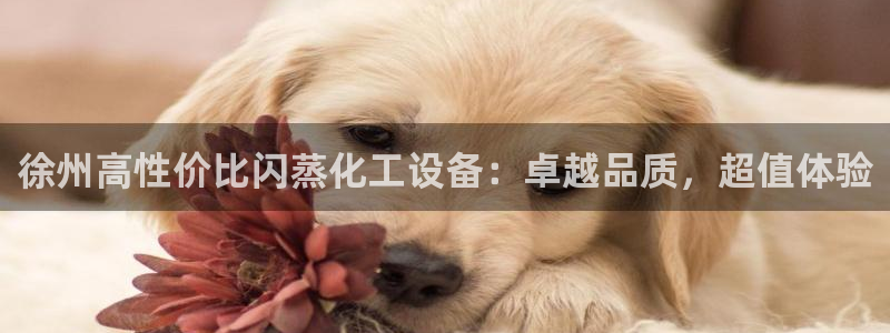 门徒平台怎么样