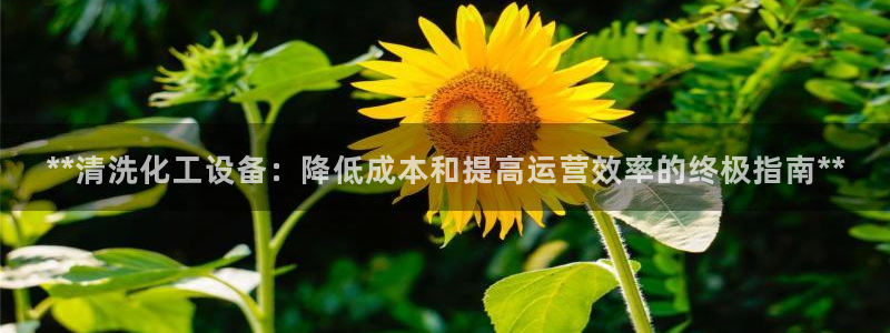 门徒娱乐创始人简介资料