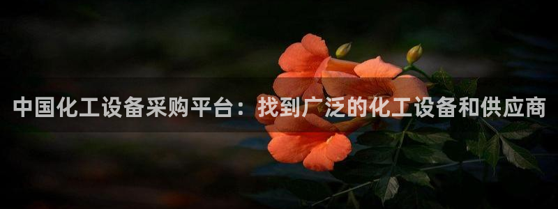 门徒娱乐项目