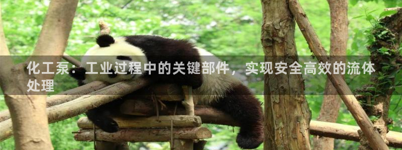 门徒娱乐是什么意思啊