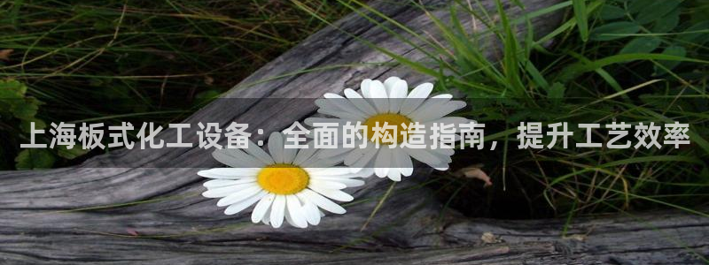 门徒娱乐好吗