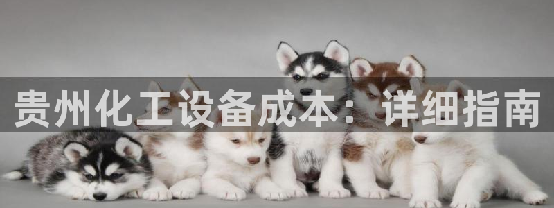 门徒娱乐官网首页下载