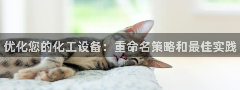 门徒娱乐提款一直处理中