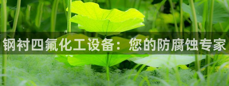 门徒娱乐是什么意思啊
