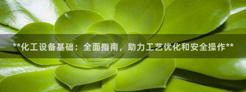 门徒平台代理怎么做