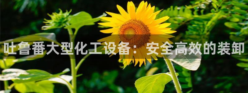 门徒平台胡 5O6917 平台