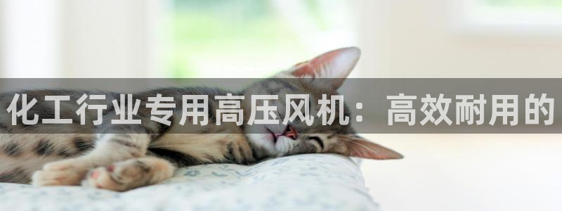 门徒平台登录步骤图