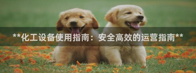 门徒娱乐客服电话